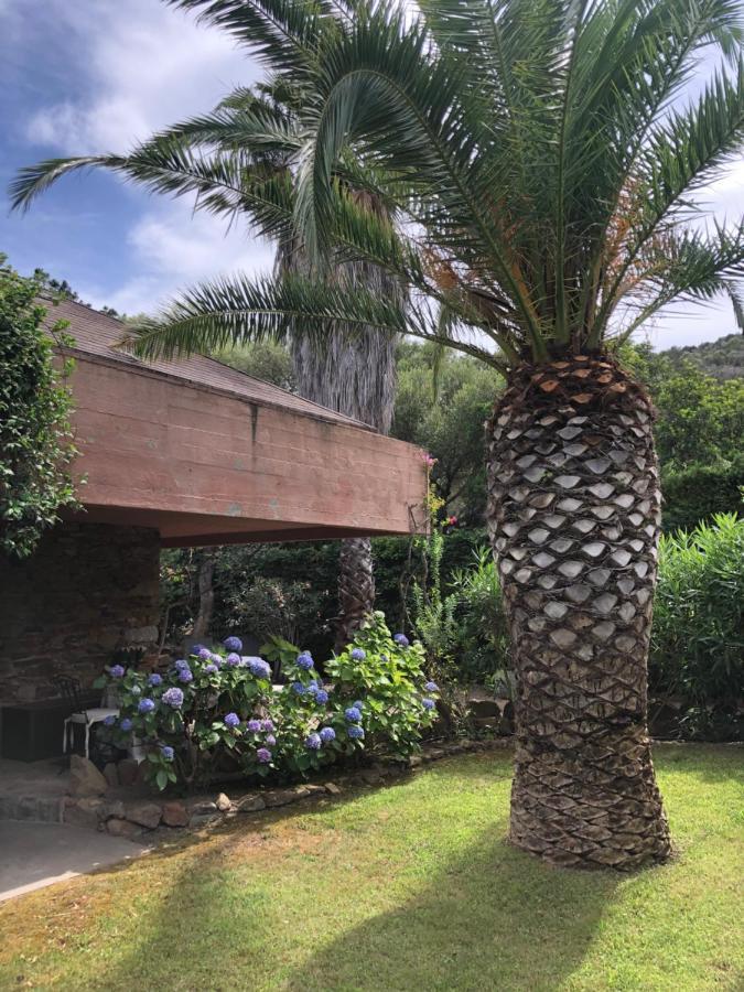 Villa 4 Porto Rotondo Dış mekan fotoğraf