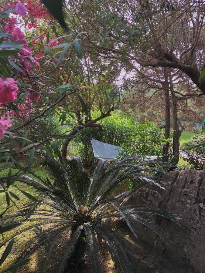 Villa 4 Porto Rotondo Dış mekan fotoğraf
